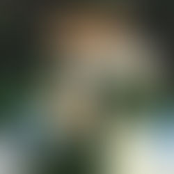 Bundesliga 2025-2026, j19