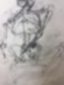 Skeleton Study