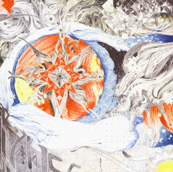 Summer Eye. No Frame Detail 2023