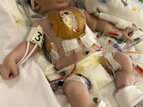 Kayla's Story Part 2: Birthday Boy