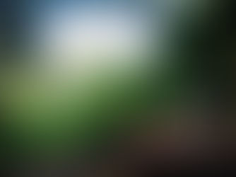 5 Reasons to Make Sleepaway Summer Camp a Part of Your Family Plan