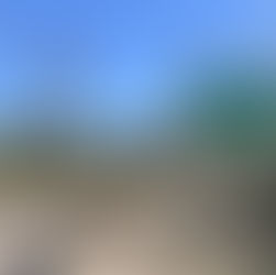 4 Ways to Experience The Strawberry Inn in Northern Arizona