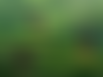 Mi cuerpo, mi guía: el significado del dolor y el mensaje detrás.