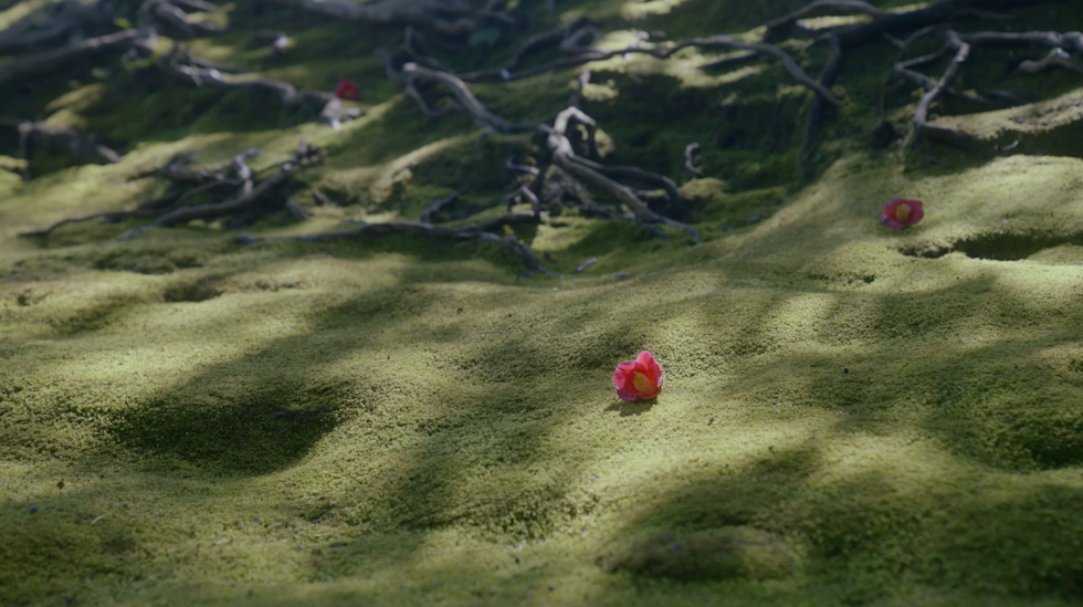 スクリーンショット 2023-03-02 16.18.05.png