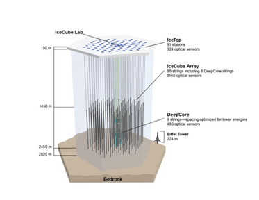 Cosmic Antineutrinos at the South Pole