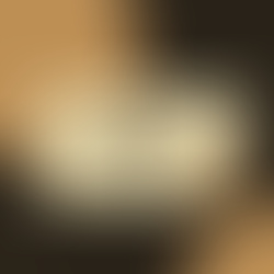 Já ouviu falar na Teoria do desvio produtivo?