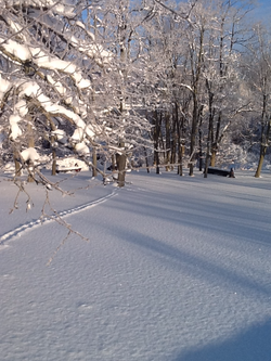 winter2_edited.JPG