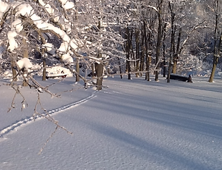 winter2_edited.JPG