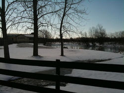 pond3.JPG