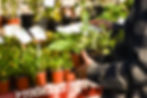 DSCF38372-503