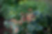 istockphoto-184119051-612x612.jpg