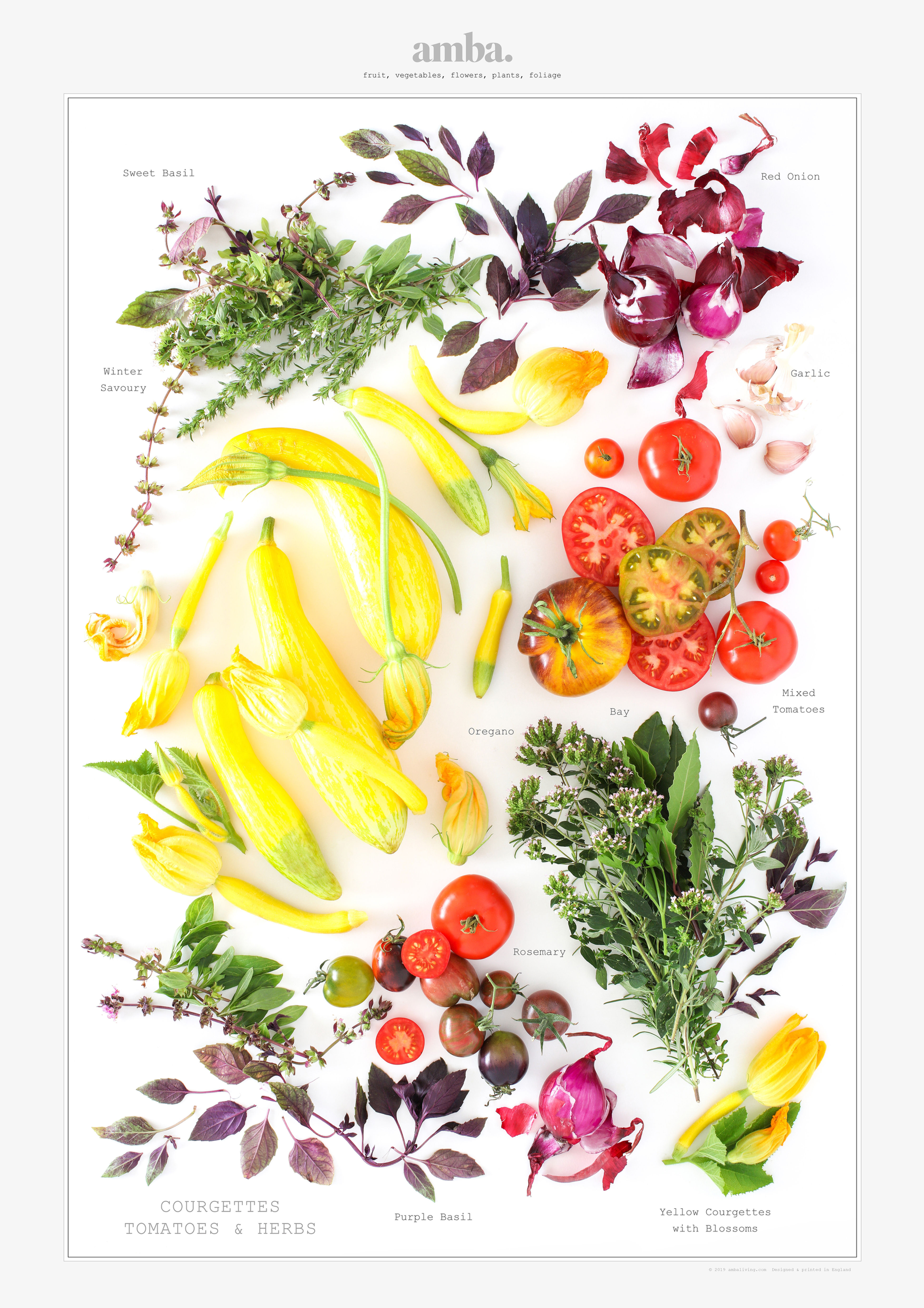 TOMATOES AND COURGETTES