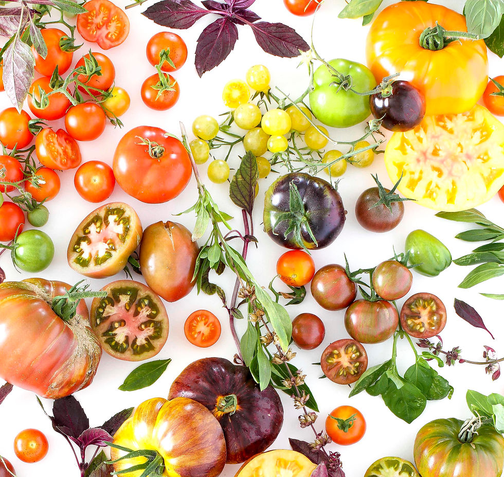 Thumbnail: HERITAGE TOMATOES AND BASIL