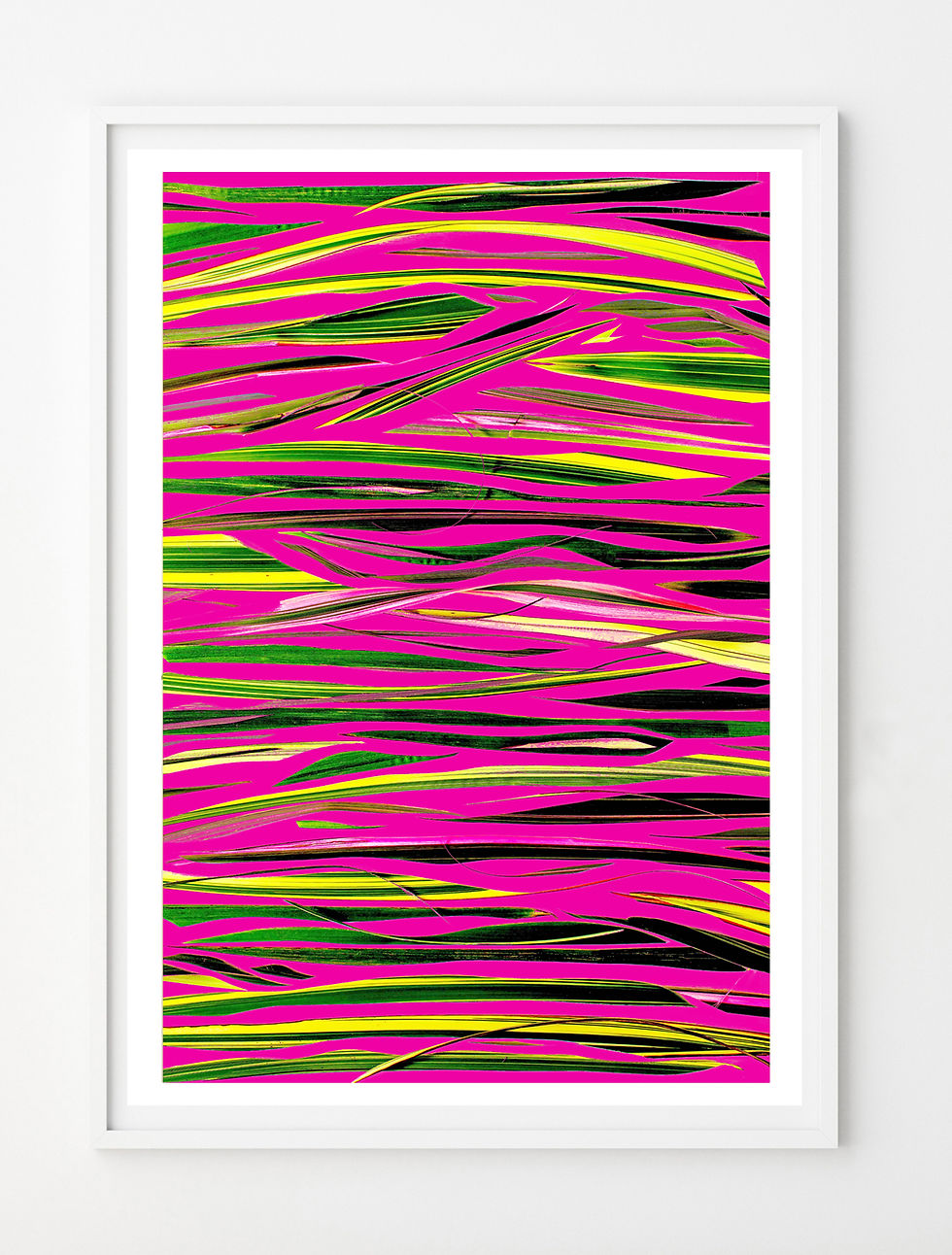 Thumbnail: PINK ZEBRA
