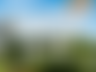 【山百チャレンジ40座目 横尾山】まばゆい夏空に輝くカヤトの原と草いきれ