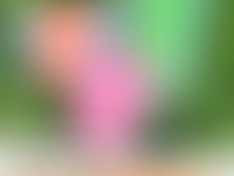 【2024年9月15日(日)開催‼】MY UL弁当を作ろう！