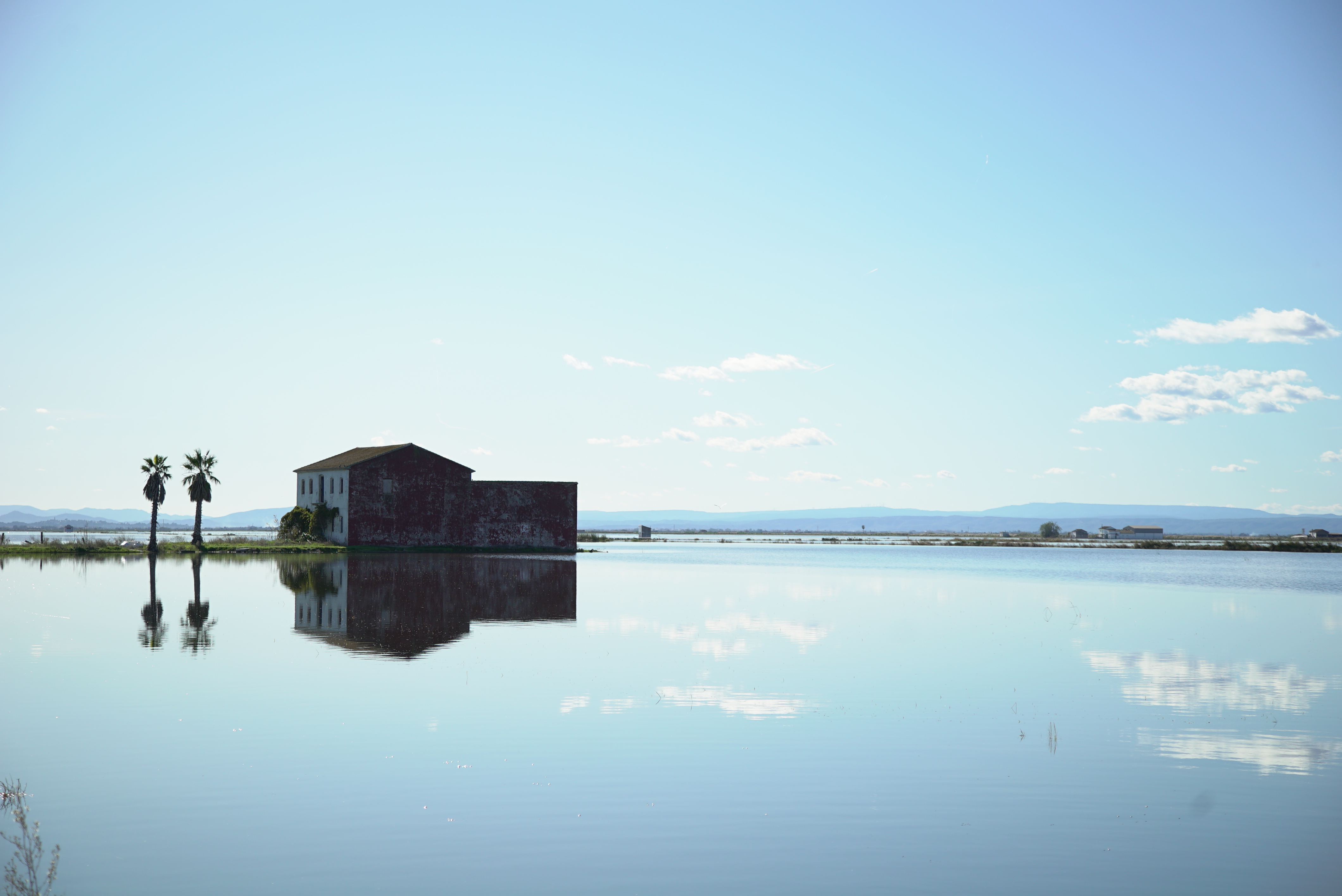 VLC_Albufera_Richard van Kruchten_DSC093