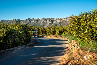 Greenway Via Verde del trenet
