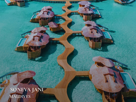 The Top 5 Places Our Clients Travel to Conceive