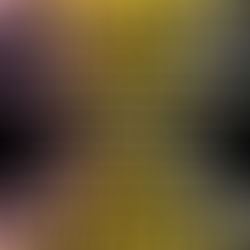 Week 3: Fields of Practice