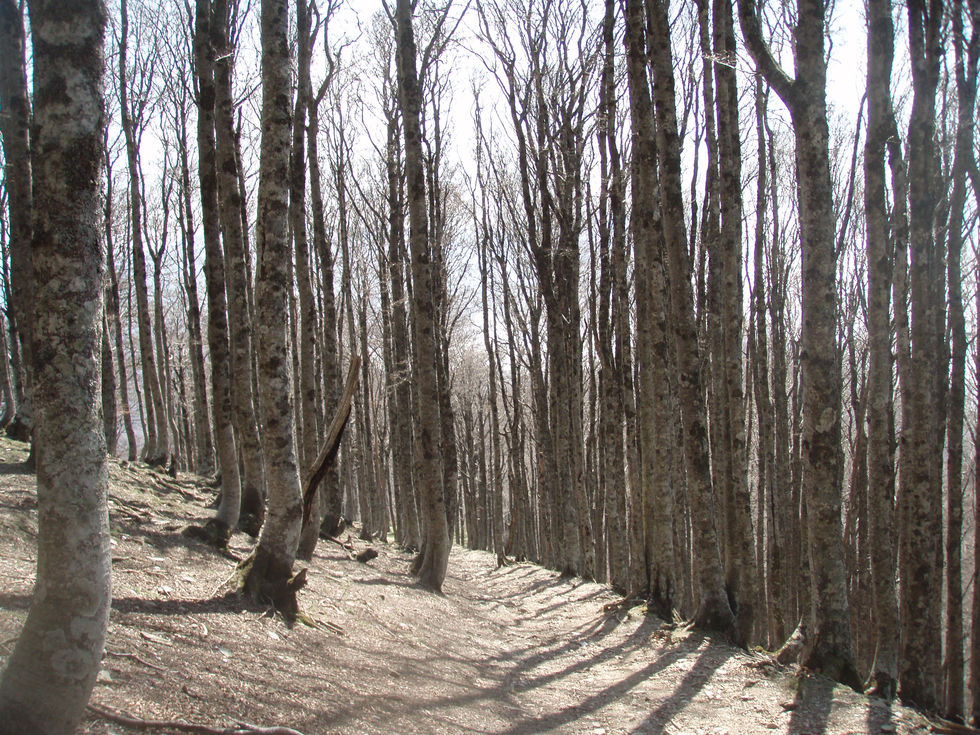 Compostelle 2007 069