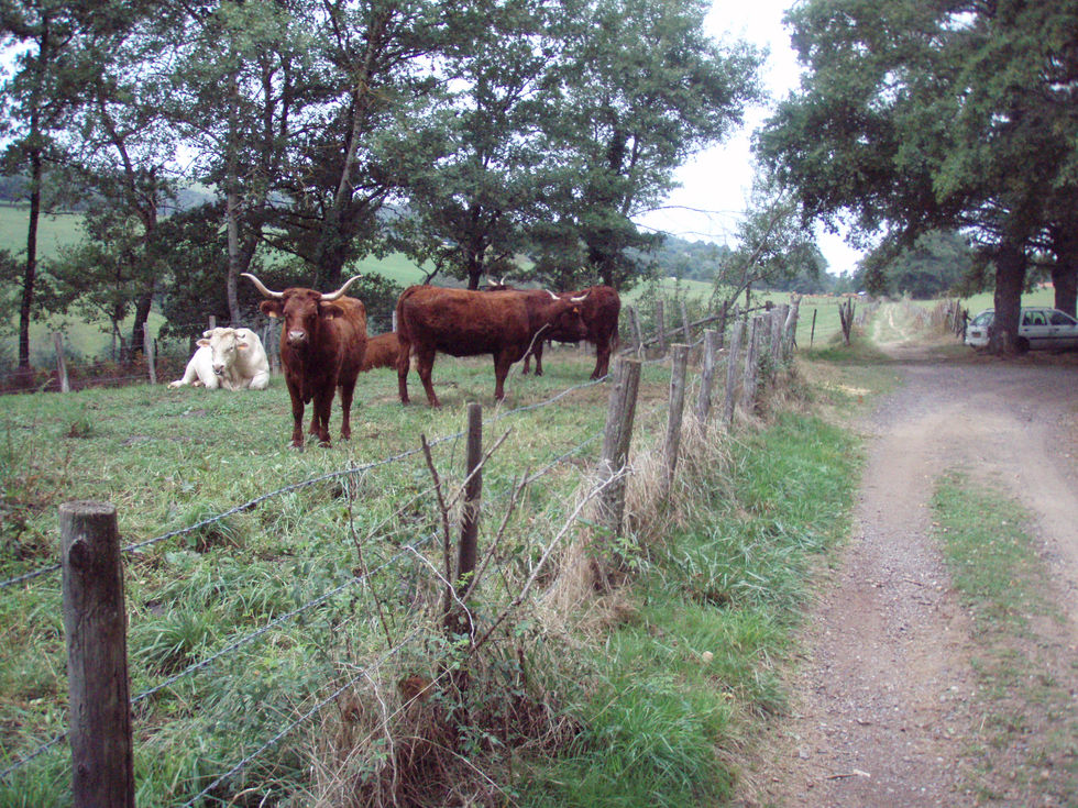 Compostelle 2008 Le Puy 149