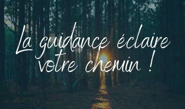 Guidance.