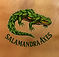 Logo Salamandra Axes Website