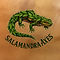 Salamandra Axes Website Inicio