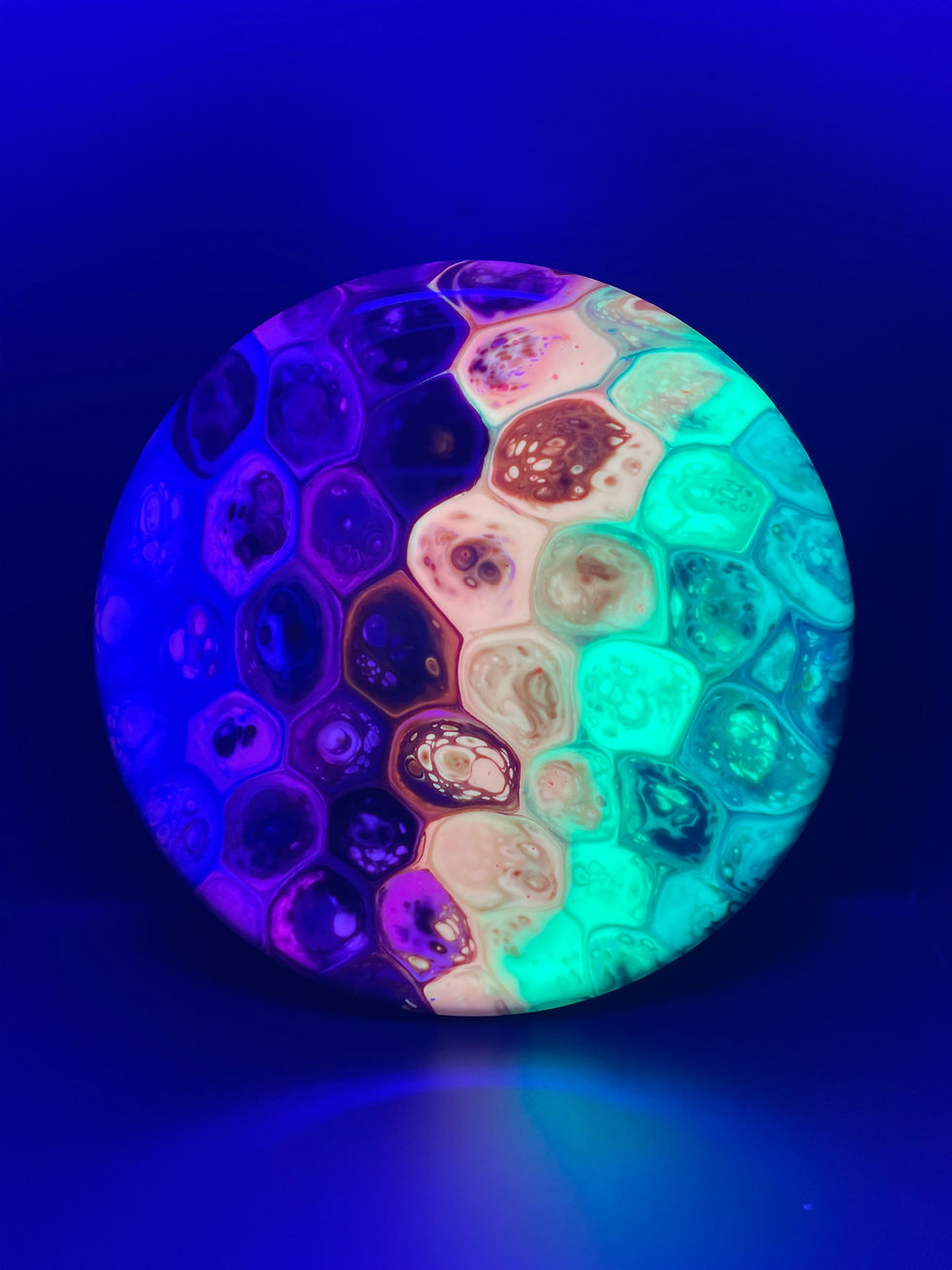 Frontside Rainbow Cells Range under blacklight