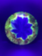 Frontside Purple and Yellow Flower Pipeline under blacklight