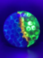 Frontside Blue and Yellow Cells Crave under blacklight