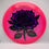 Thumbnail: Frontside Purple Rose Passion