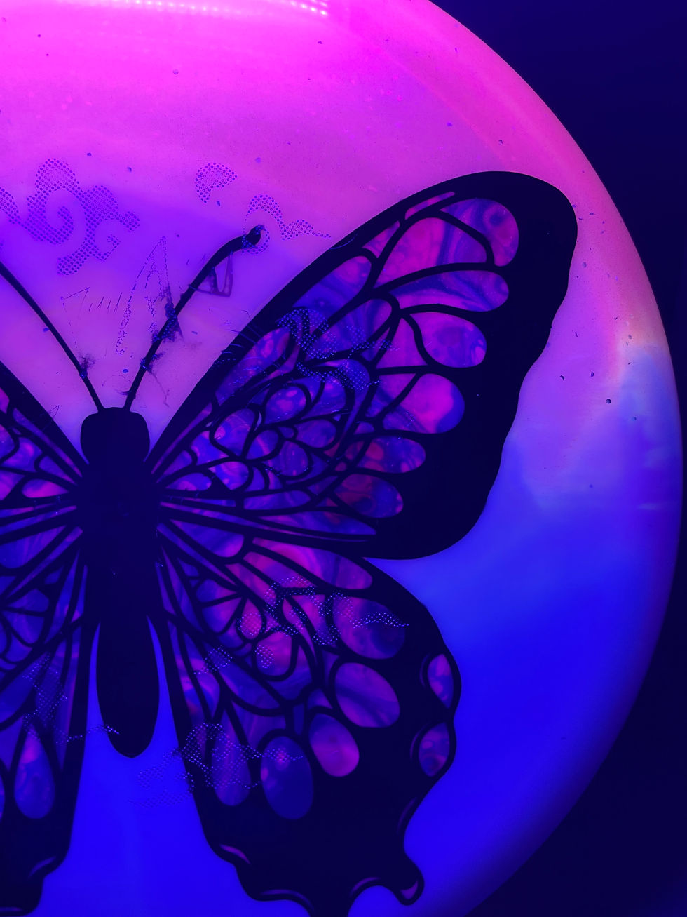 Thumbnail: Close-Up Frontside Purple Butterfly Duo Fox under blacklight