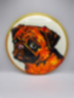 Frontside Orange and Yellow Cell Pug Dog Bokeh
