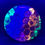 Thumbnail: Frontside Large Rainbow Cells MD1 under blacklight