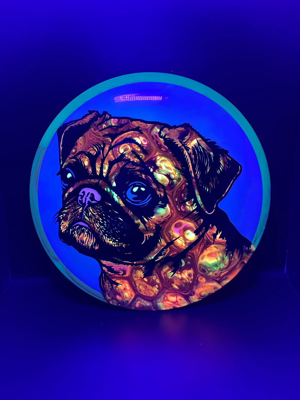 Frontside Orange and Yellow Cell Pug Dog Bokeh under blacklight