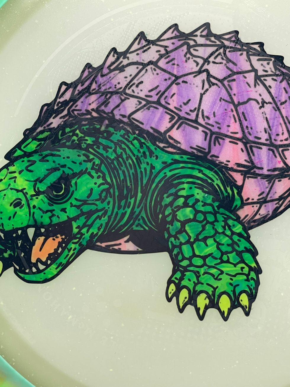Thumbnail: Green Turtle with Purple Shell Thrill