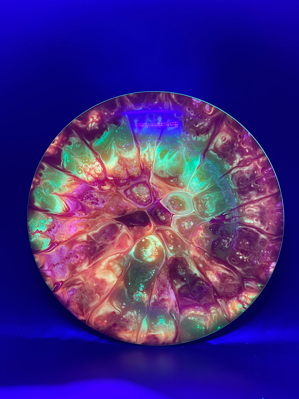Thumbnail: Frontside Fiery Lava Cell Spiral Leopard3 under blacklight