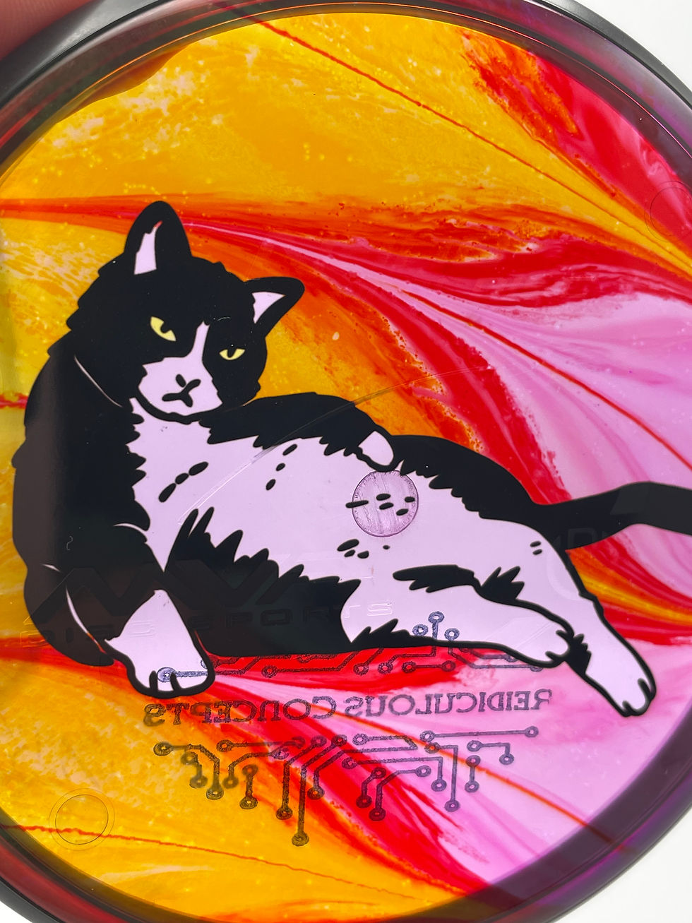 Close-Up Frontside Chillin' Tuxedo Cat Mini
