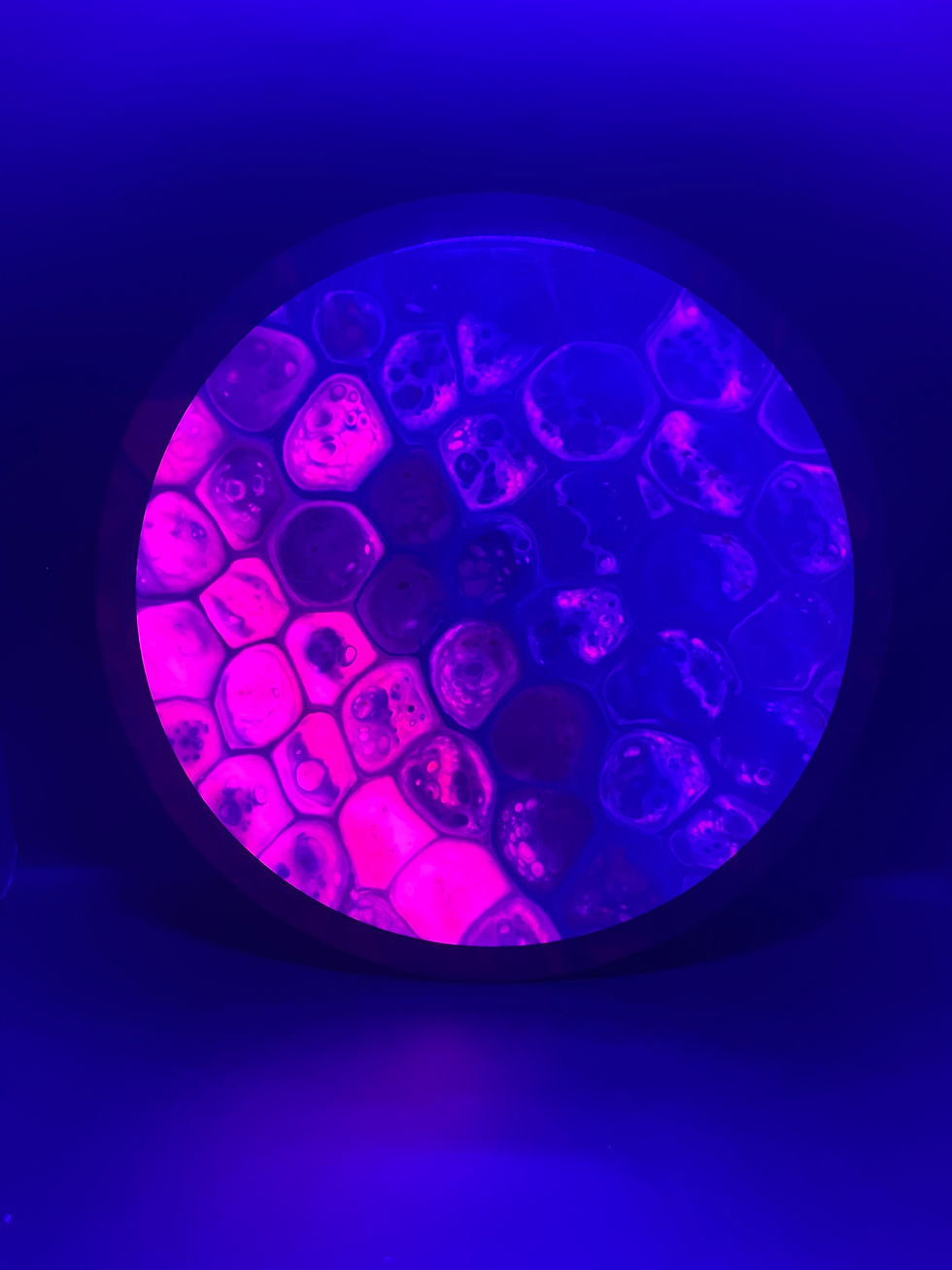 Thumbnail: Frontside Hot Pink and Magenta-Teal Cell Phase under blacklight