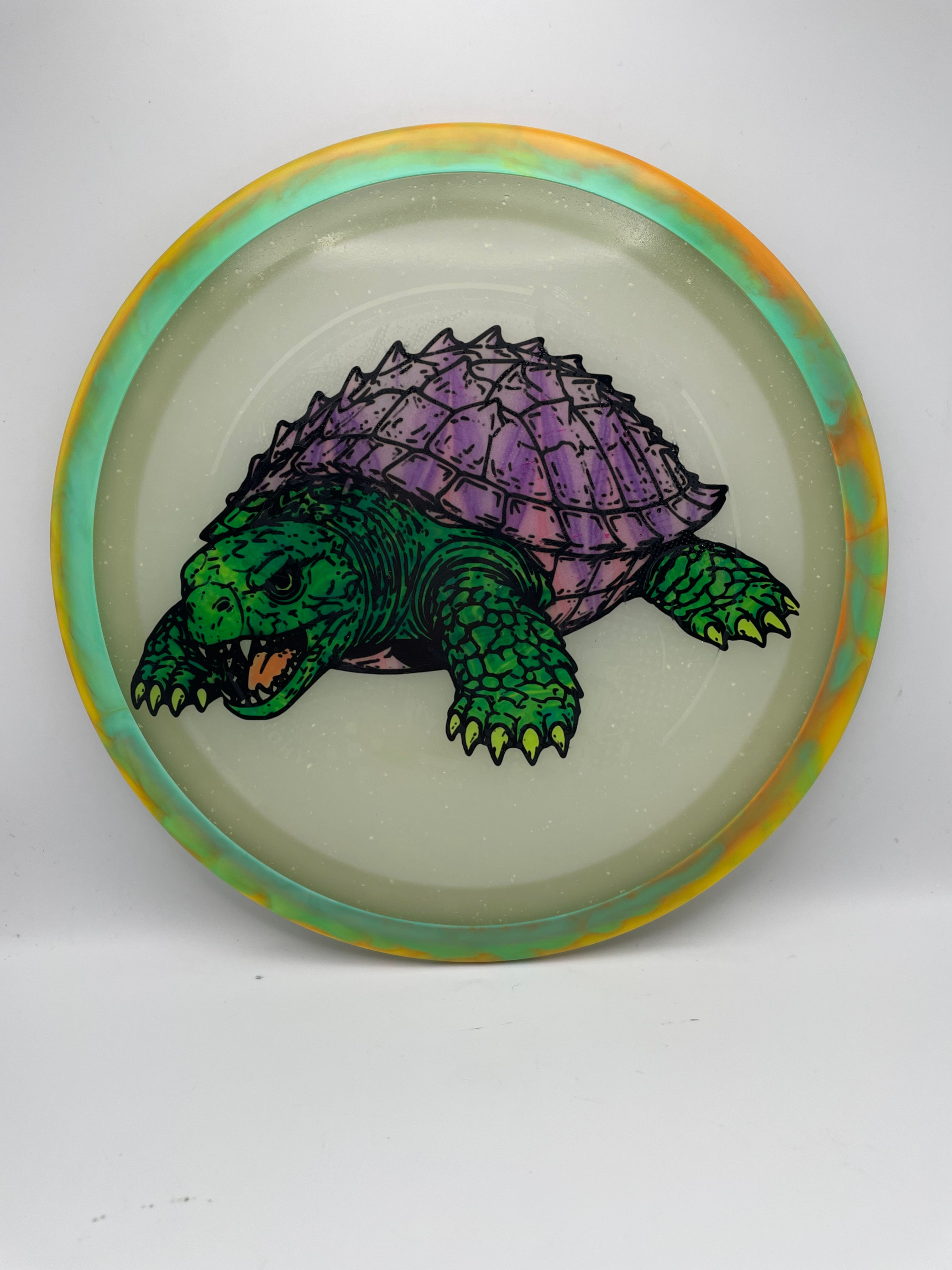 Green Turtle with Purple Shell Thrill