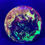Thumbnail: Frontside Fiery Fire Fox under blacklight