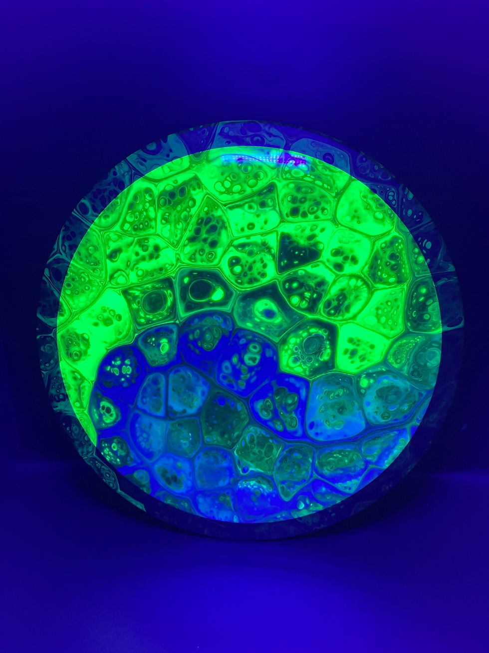 Frontside Blue and Neon Green Cell Yin Yang Phase under blacklight