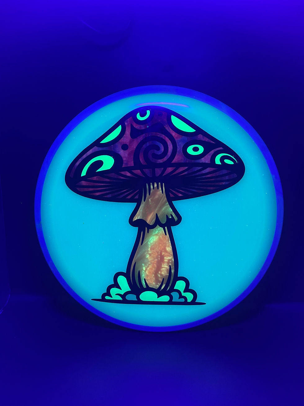 Thumbnail: Frontside Red, Orange and Yellow Mushroom Crave under blacklight