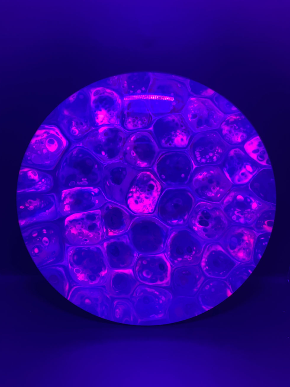 Frontside Purple and Magenta Cells Firebird under blacklight