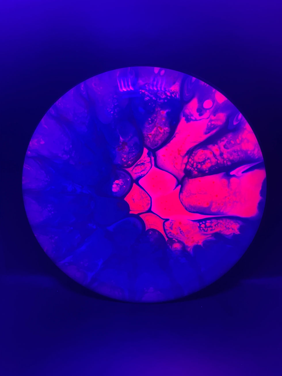 Frontside Teal and Pink Burst Ballista under blacklight
