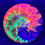 Thumbnail: Frontside Yellow, Orange and Purple Spiral Throw Pink Mako3 under blacklight