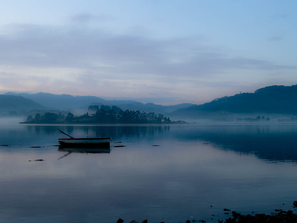 Foggy
