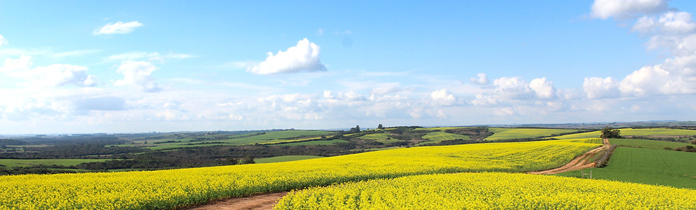 Countryside Road_edited.jpg
